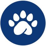 Logo de Pandape
